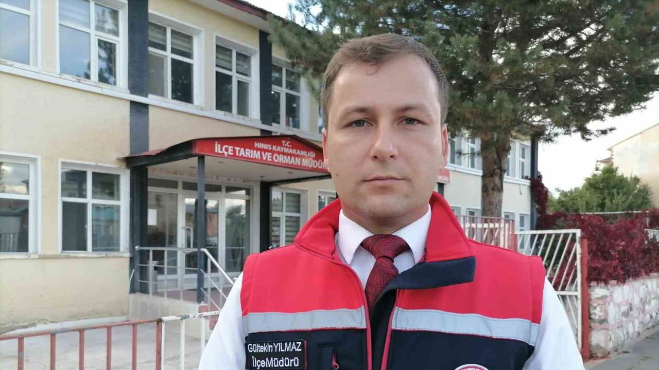 Hınıs'ta aile işletmelerine nefes: kırsalda bereket projesi ilk buzağıları kazandırdı