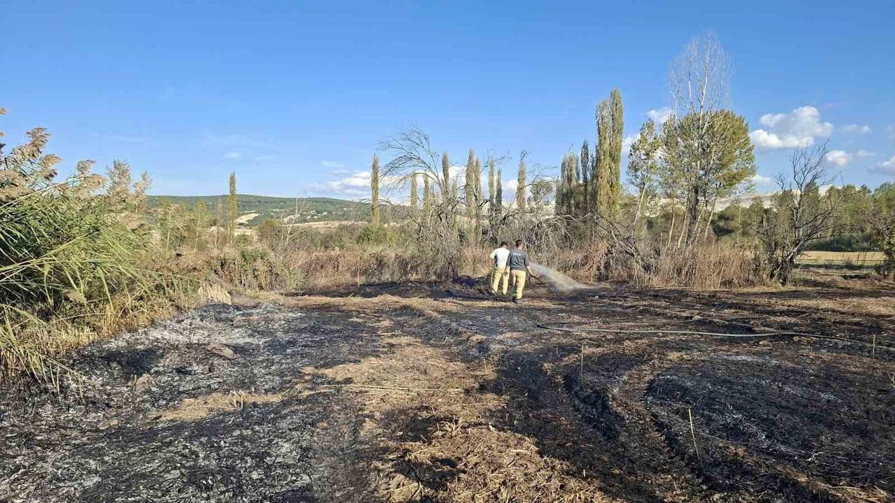 Hisarcık'ta hızlı müdahale yangını büyümeden söndürdü, 3 dekarlık alan zarar gördü