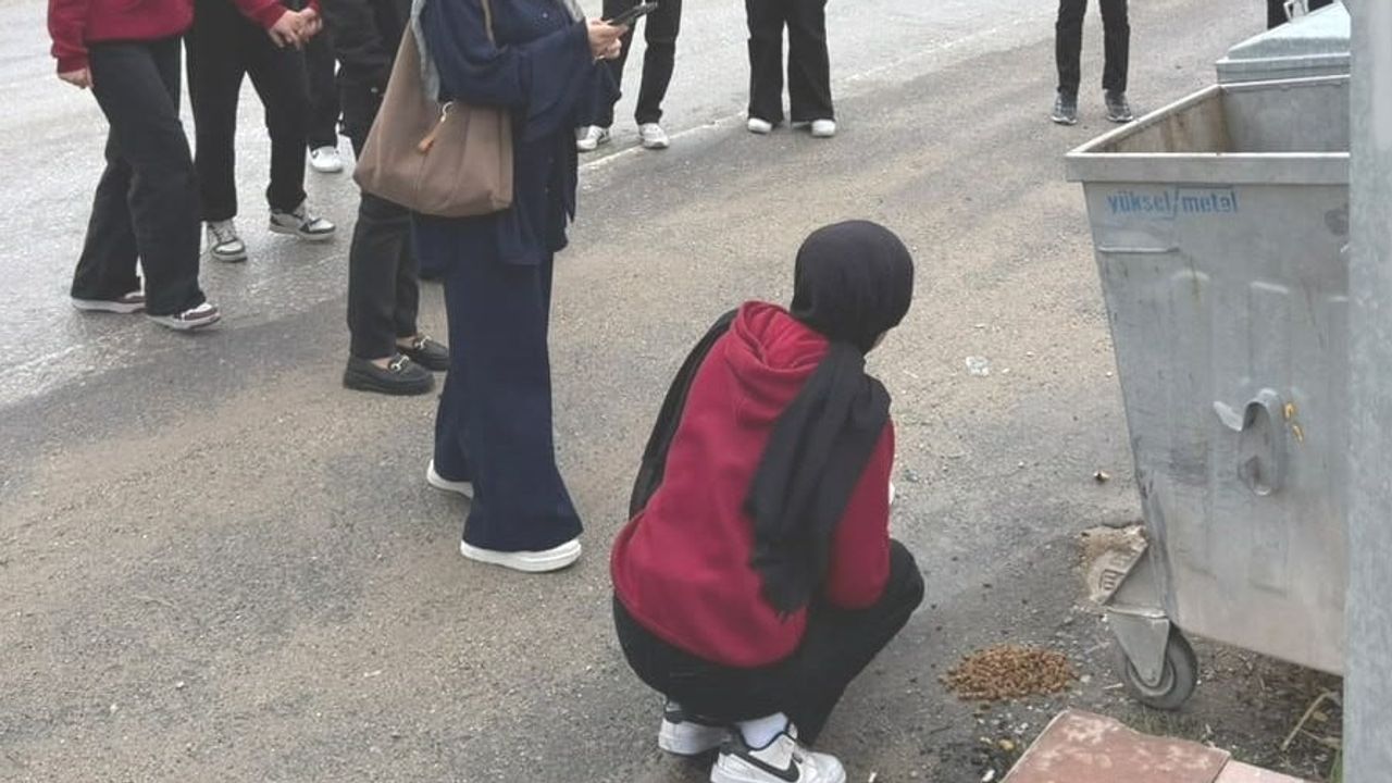 Hisarcık'ta öğrencilerden can dostlara besleme ve farkındalık çalışması