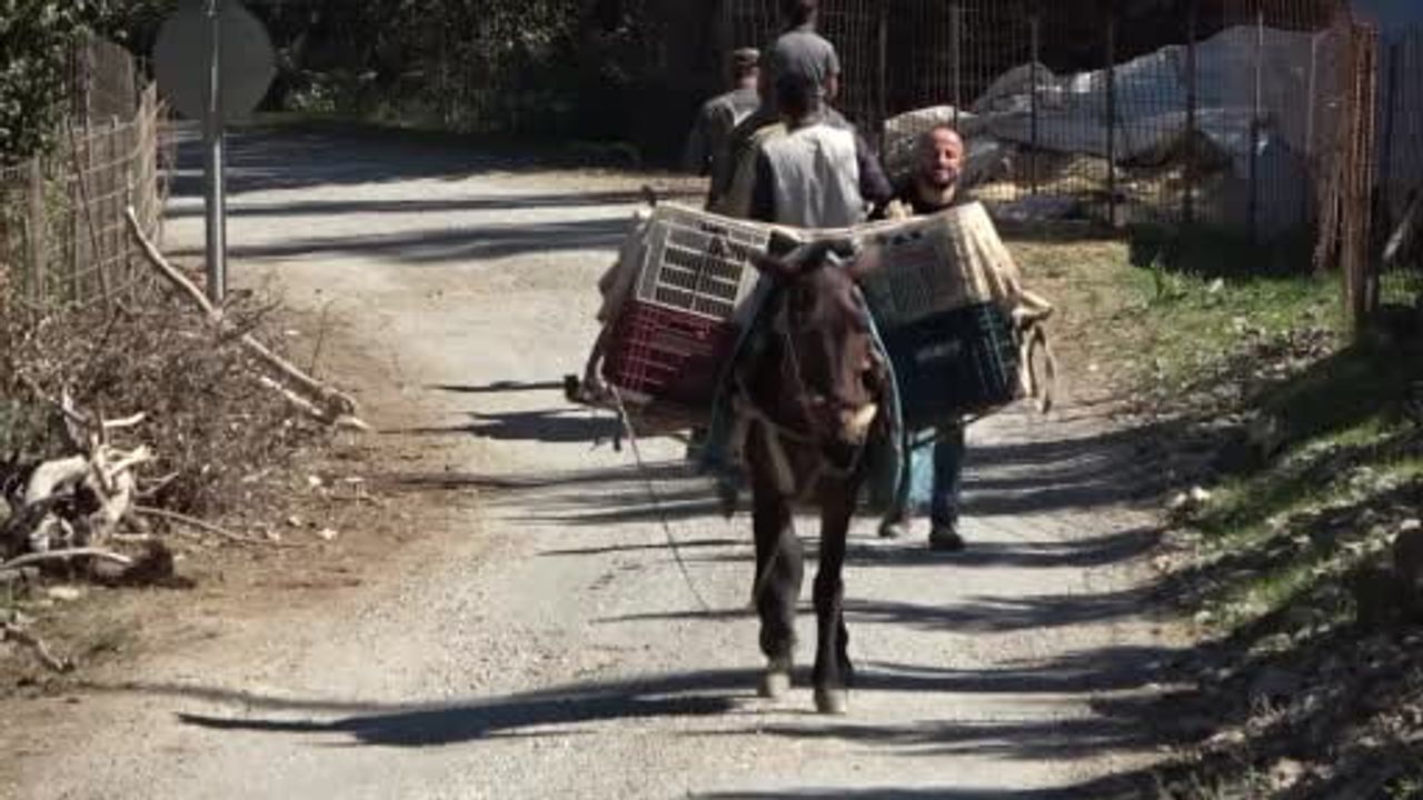 Hizan’da asırlık lezzet: üzümden doğal pekmez geleneği