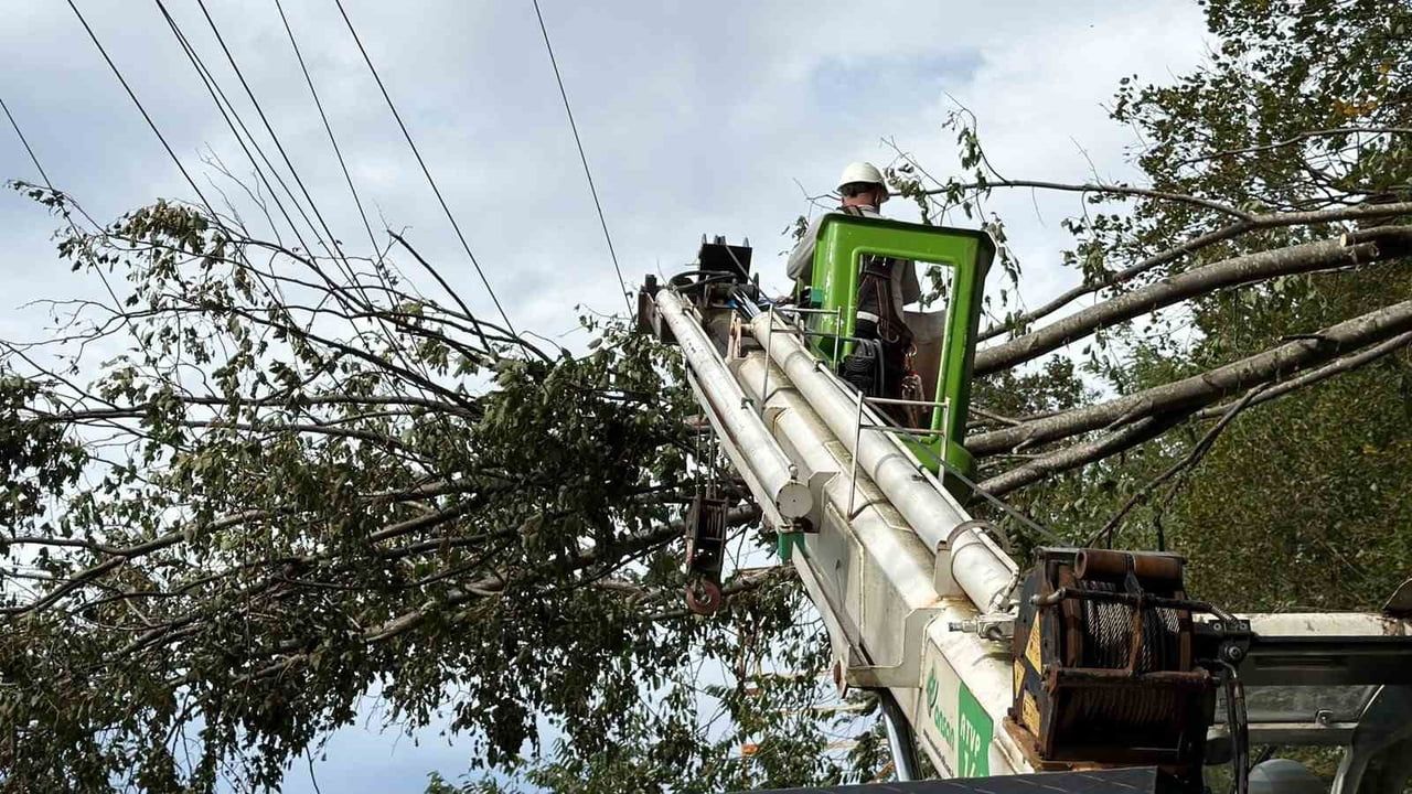 Hopa'da kuvvetli rüzgâr enerji hatlarına zarar verdi, ekipler müdahale ediyor