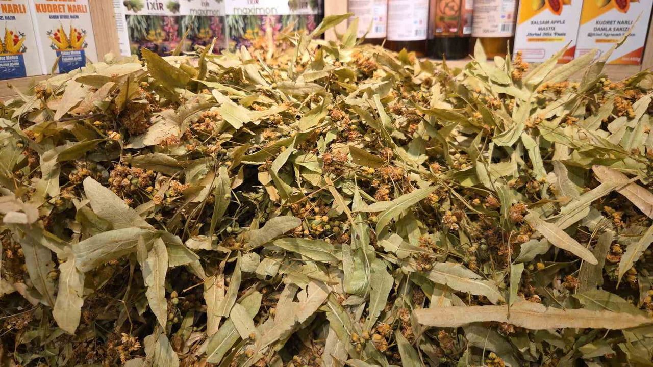 Ihlamurda beklenen bolluk sınavı: fiyatlar yıllar sonra geriledi
