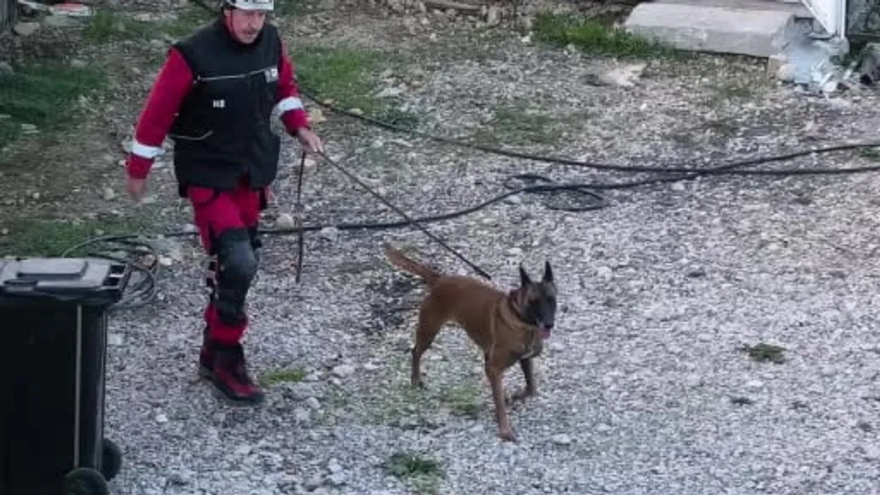 İnegöl enkazında K9'lar gerçek afetlere hazırlanıyor