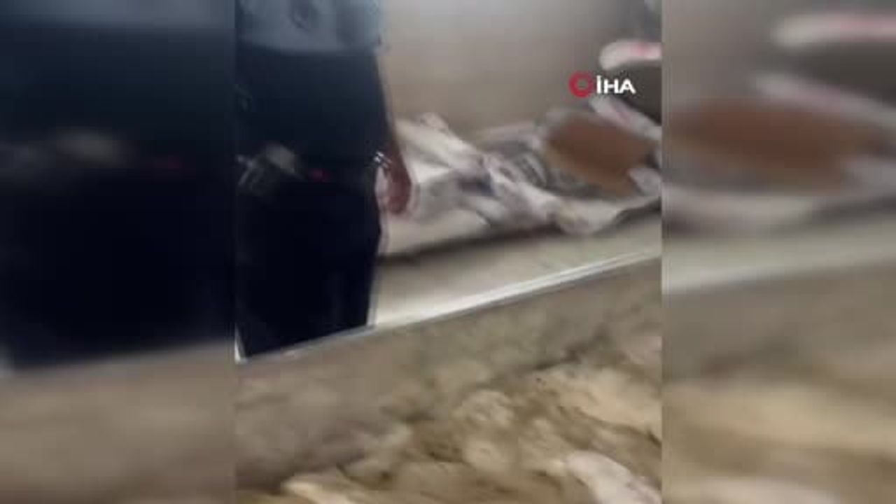 İskenderun'da fırında hijyen ihmalleri: hamam böceği ve izmaritler tespit edildi