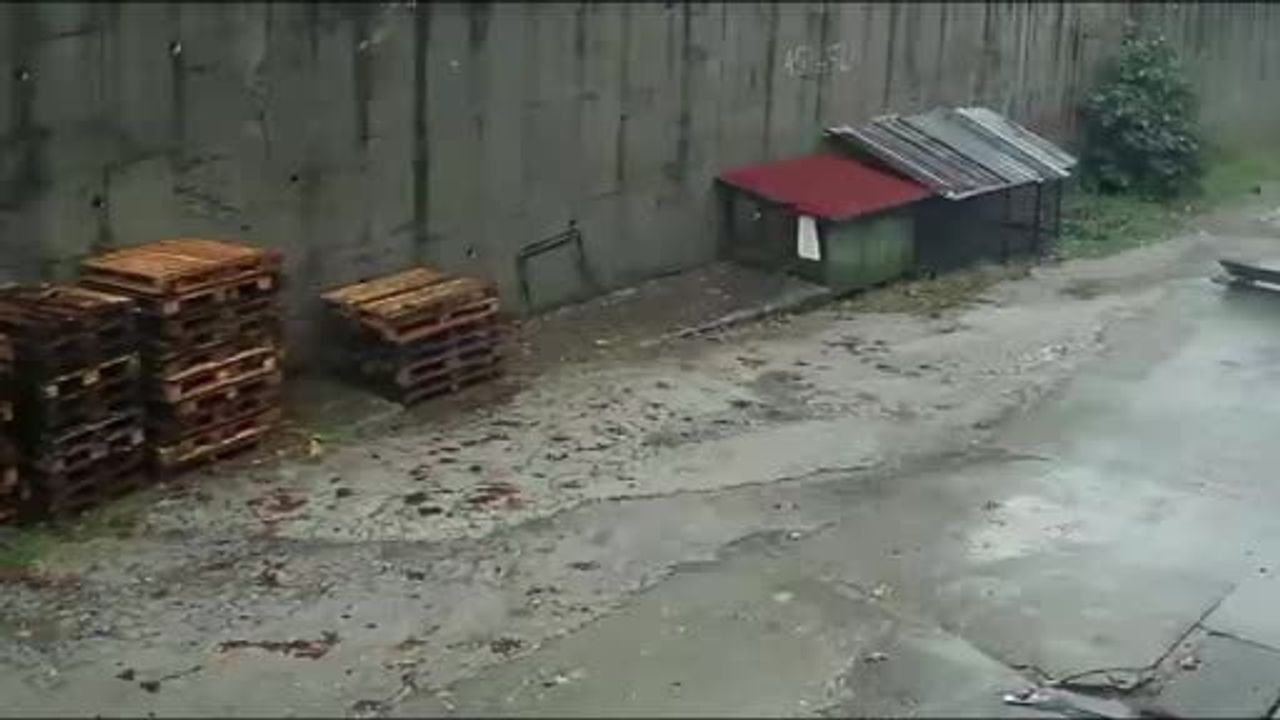 İstinat duvarı yağışla çöktü: iki araç enkaz altında, kulübedeki köpekler telef oldu
