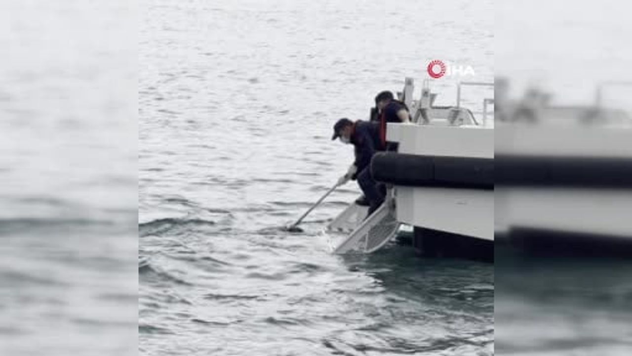 İstinye açıklarında balık gezisine çıkan öğretmenlerin bulduğu erkek cesedi