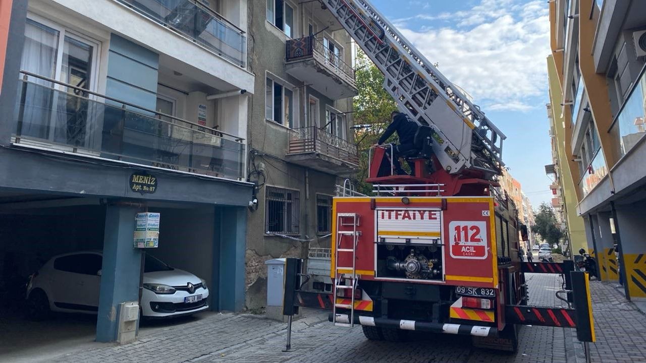 İtfaiye Aydın'da çatıya saklanan kediyi sahibine teslim etti
