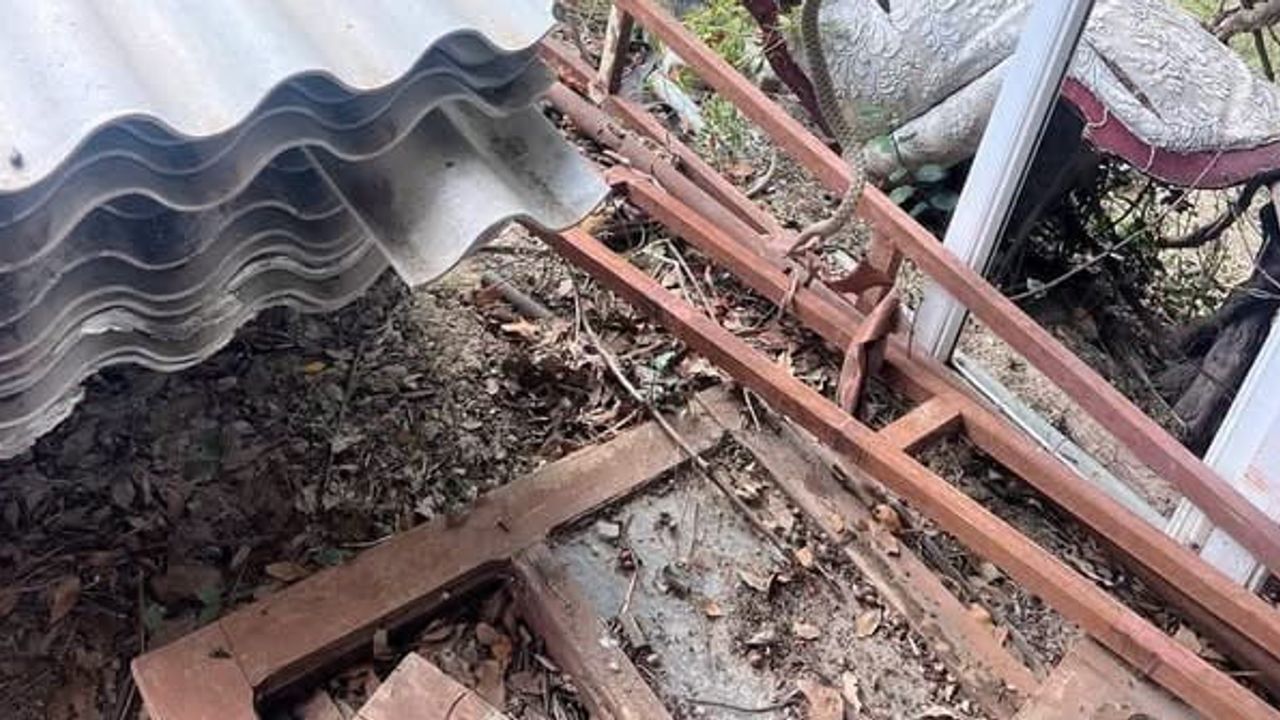 Itfaiye ekipleri Antakya'da bahçede görülen yılanı zarar vermeden doğaya teslim etti