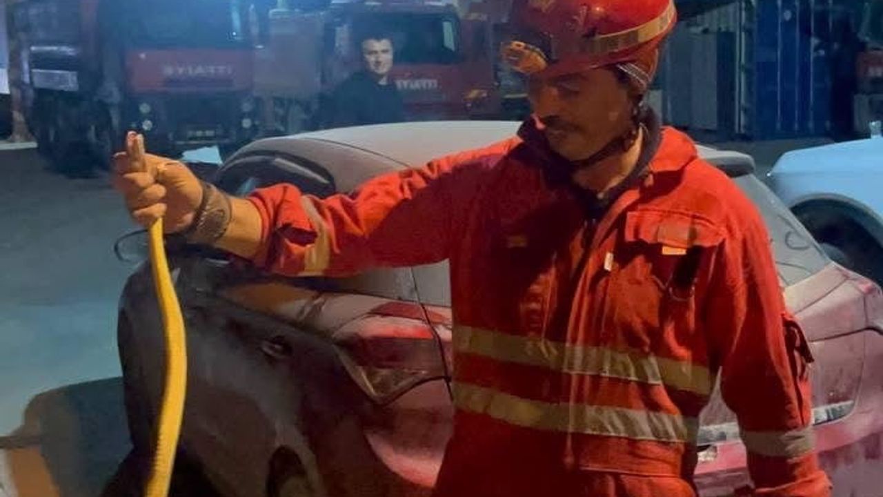 İtfaiye istasyonunda beklenmedik misafir: Antakya'da araçta yılan yakalandı