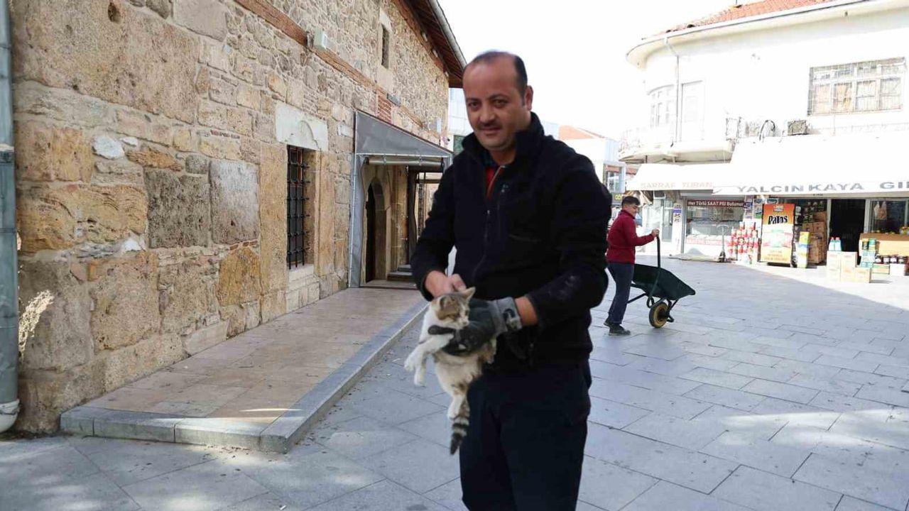 İtfaiye, vatandaşların ihbarıyla kepenge sıkışan kediyi kurtardı