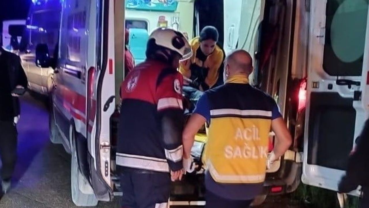 Itfaiyenin müdahalesiyle Asi Nehri'nden çıkarılan iki kişi hastaneye sevk edildi
