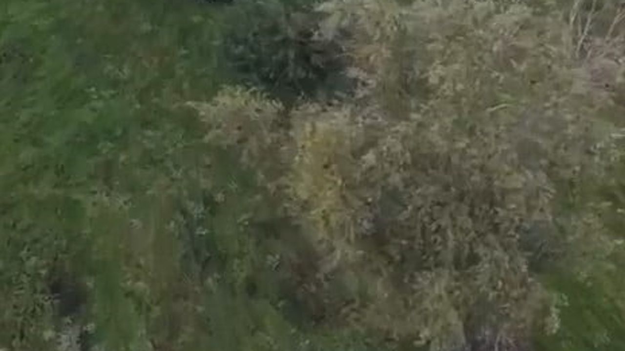 İznik Gölü'nde yasa dışı avcılığı ortaya çıkaran teyp ele geçirildi