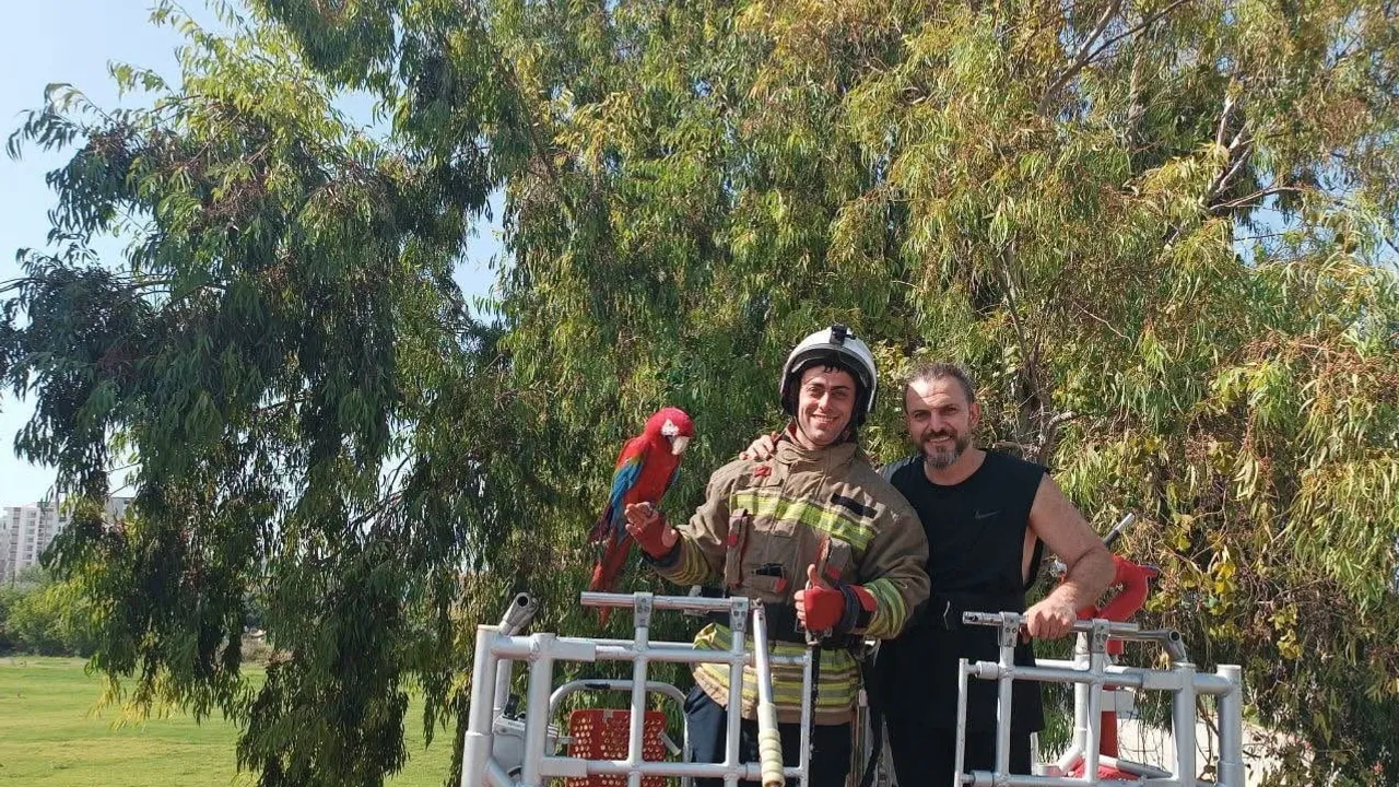 Kafesten kaçan papağanın ağaç macerası itfaiye müdahalesiyle sonlandı