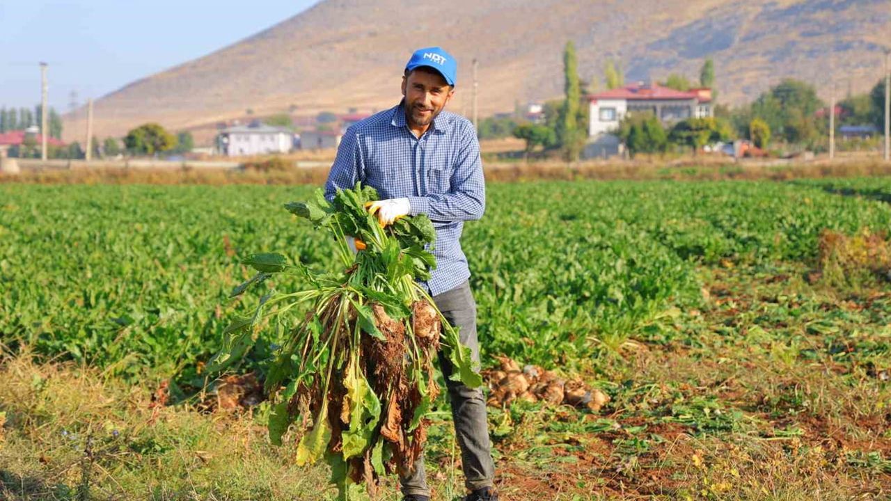 Kahramanmaraş'ta tarladan fabrikaya pancar mesaisi başladı