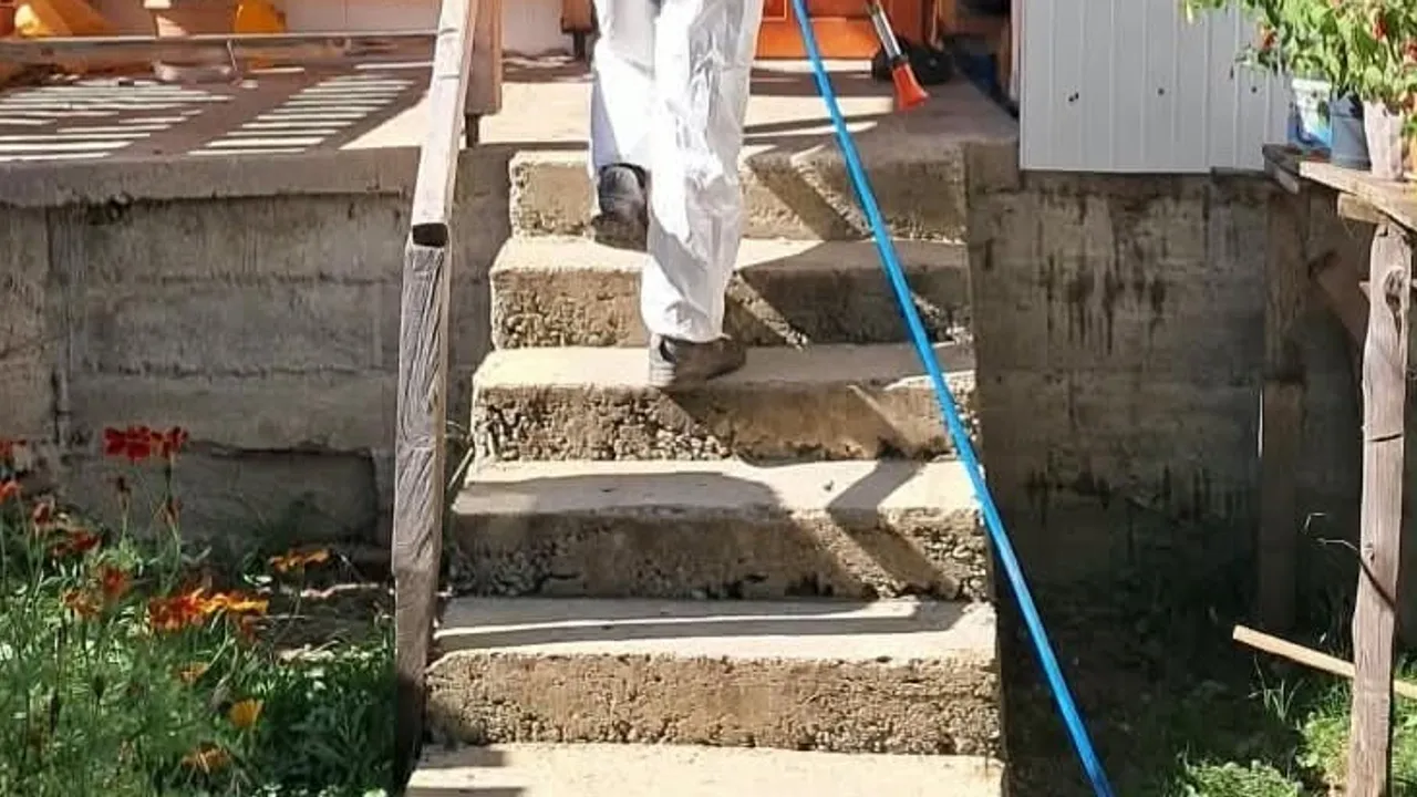 Kahverengi kokarcalara karşı kışlık ilaçlama seferberliği