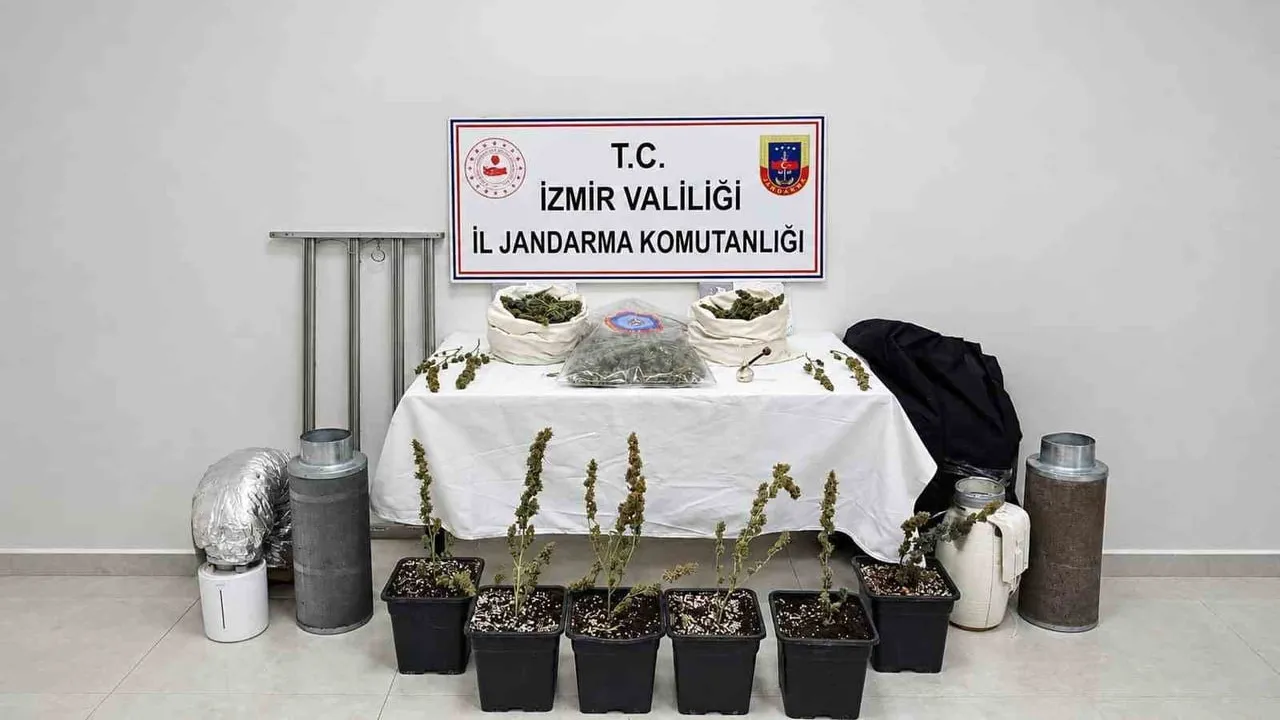 Karabağlar'da saksıda iklimlendirme düzeniyle skunk üretimine operasyon