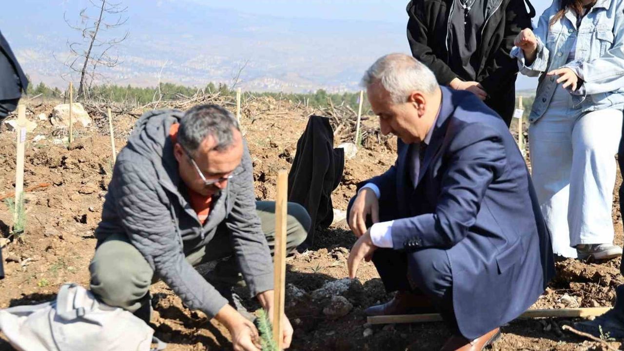 Karabük'te ErasmusDays kapsamında 192 katılımcı 250 fidan dikti