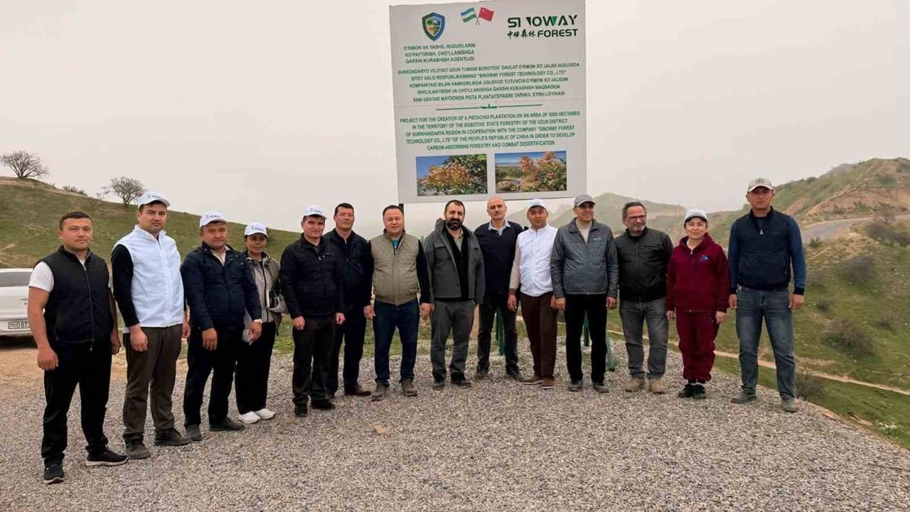 Karabük'ten bilim insanları Antep fıstığında uzun çiçek açan erkek ağaçları seçecek