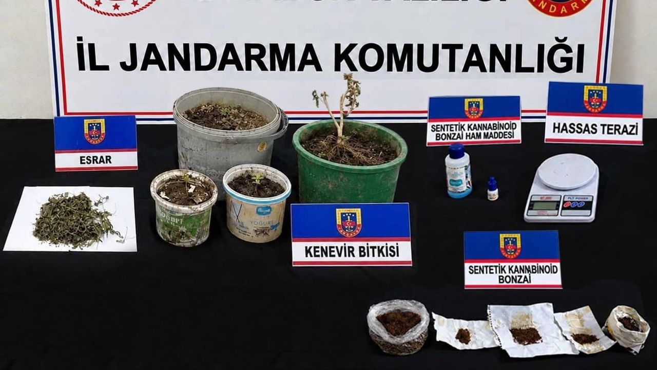Karabük ve Yenice'de jandarmadan uyuşturucu baskını