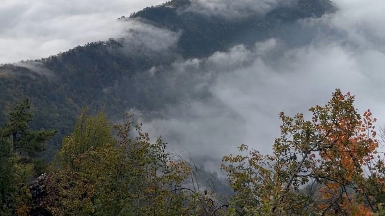 Karabük yükseklerinde bulutların denizi: Bolkuş'ta eşsiz manzara