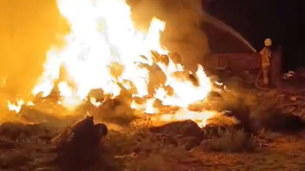 Karacabey'de çiftlikte alevlerle geçen gece: hayvanlar son anda kurtarıldı