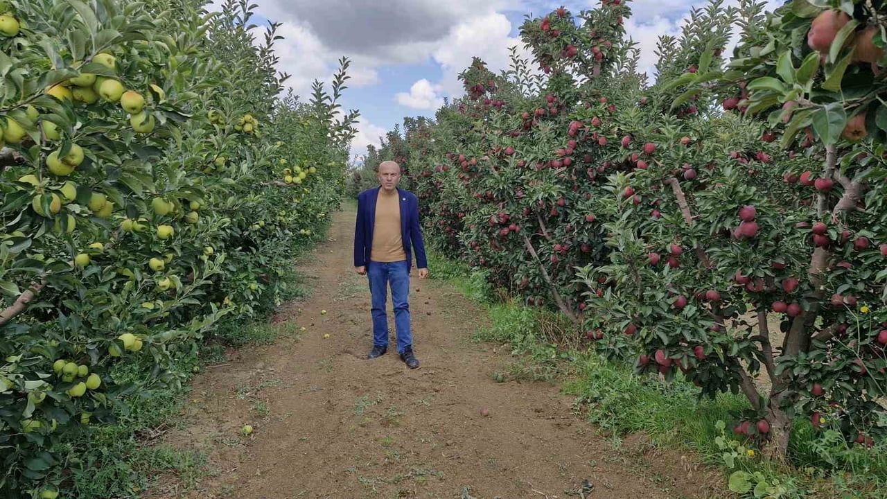 Karaman'da yüksek rekolte fiyatları düşürdü, üreticiler tedirgin
