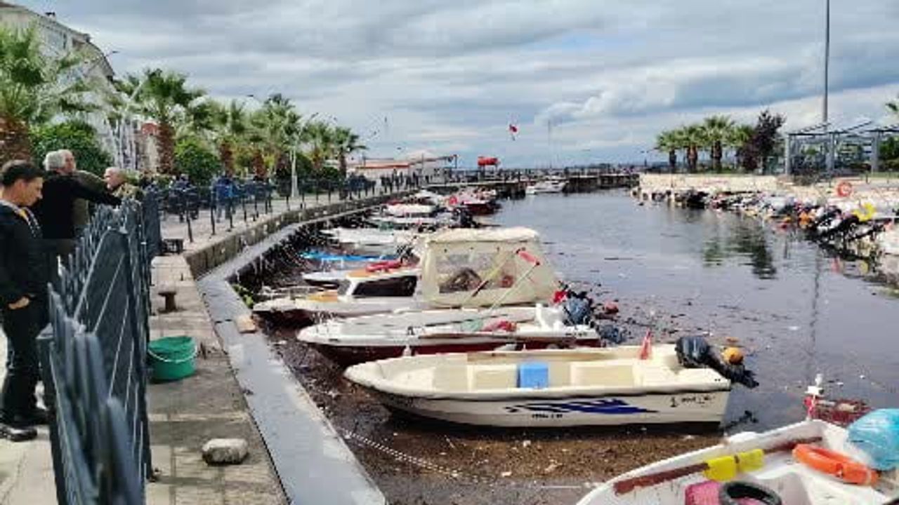 Karamürsel'de fırtına teknelere zarar verdi, limanda atıklar toplandı