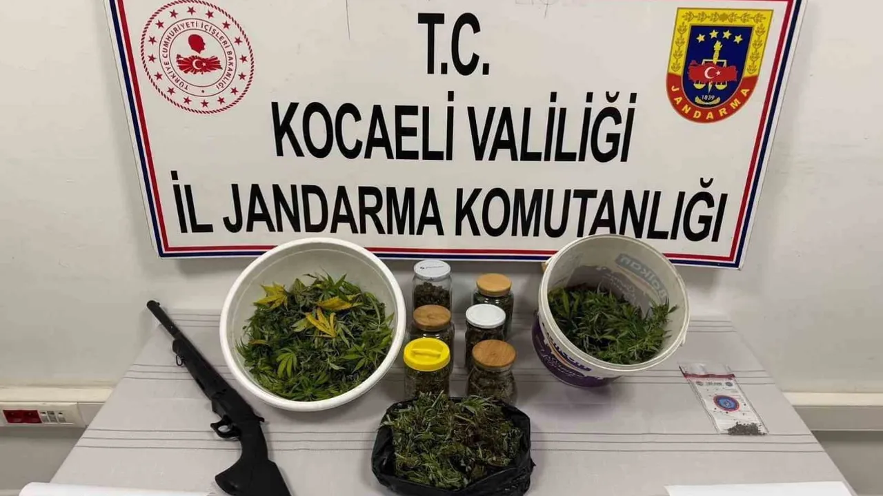 Karamürsel'de jandarmanın adres baskınında 3 kilo 500 gram kubar esrar ve av tüfeği ele geçirildi