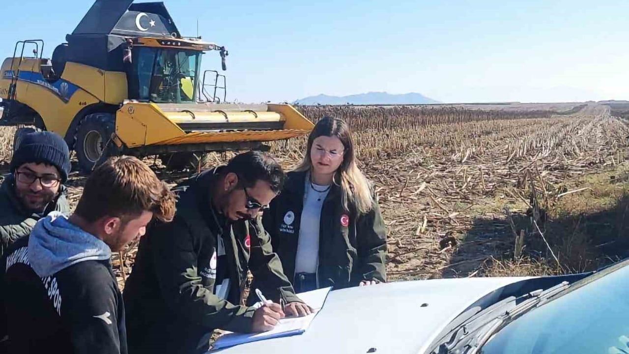 Karapınar'da biçerdöver denetimleriyle ayçiçeği hasadında verim hedefi