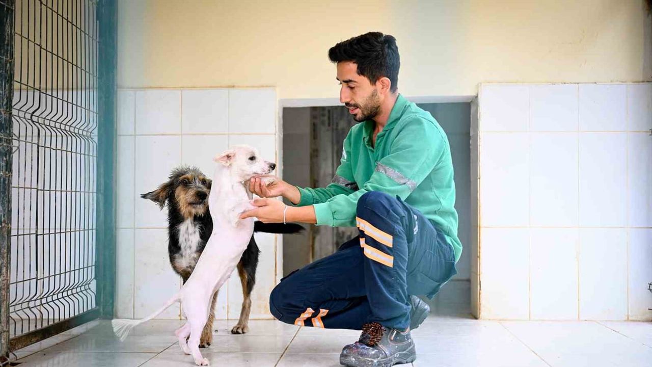Kaşlı'da can dostlara kapsamlı bakım ve sahiplendirme