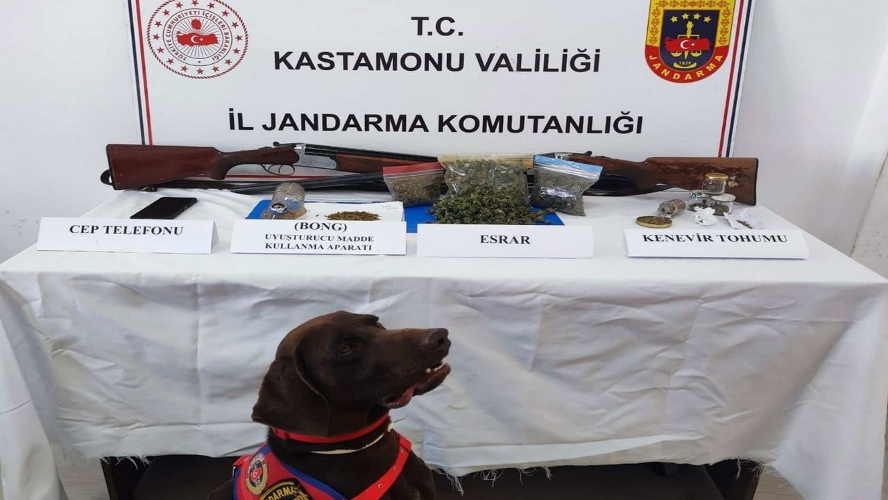 Kastamonu’da bir haftalık jandarma operasyonunda iki kişi tutuklandı