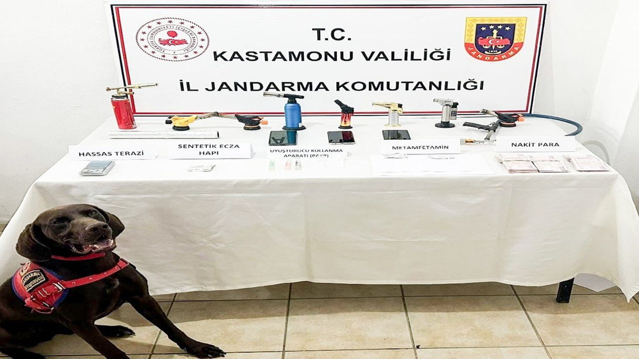 Kastamonu'da jandarma operasyonu: bir şüpheli tutuklandı, çok sayıda delil ele geçirildi