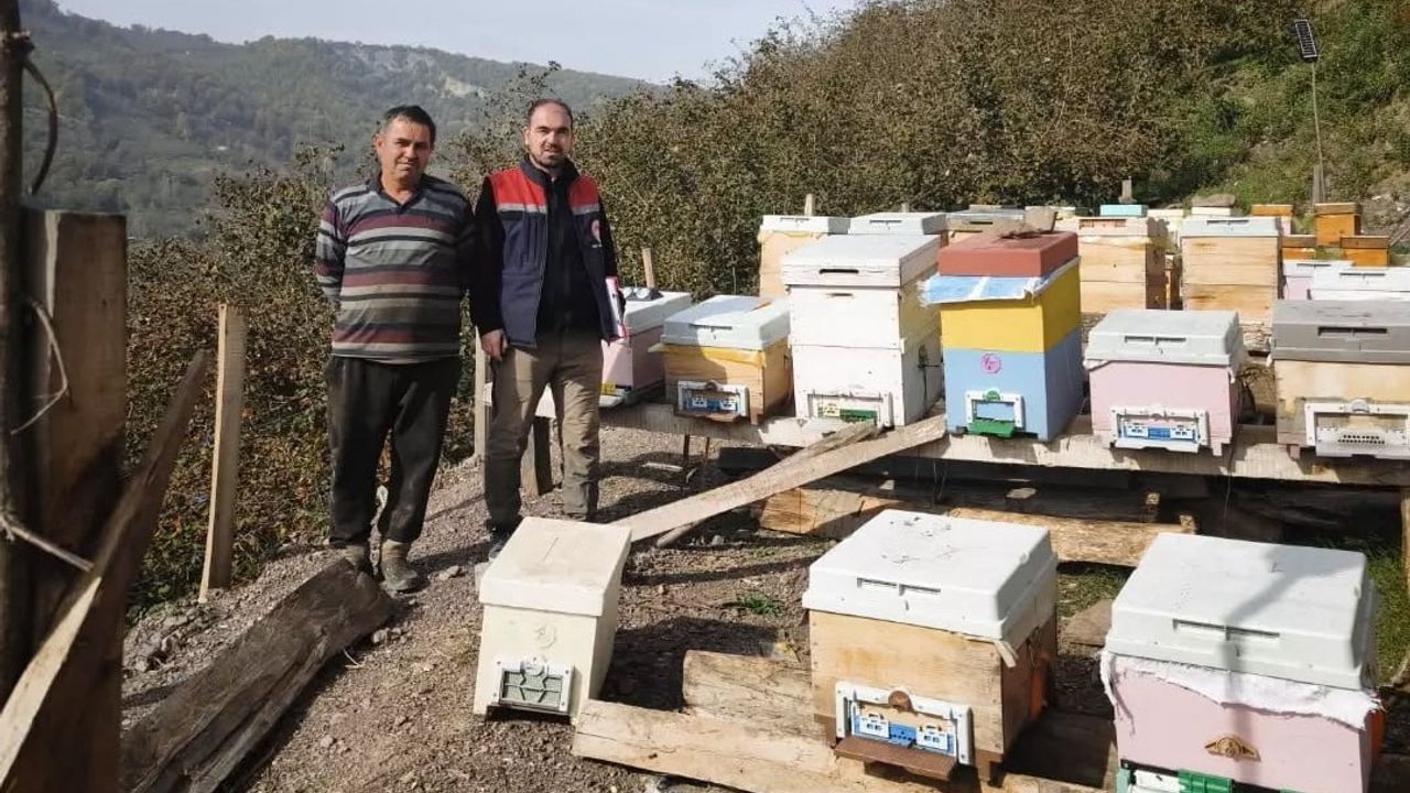 Kayıt projesi: Yığılca köylerinde arılı kovan envanteri tamamlandı