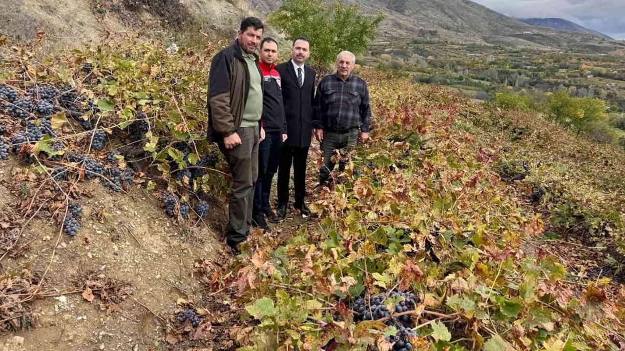 Kaymakam Hacı Osman Hökelekli Karakaya köyünde üretim ve destek ihtiyaçlarını inceledi