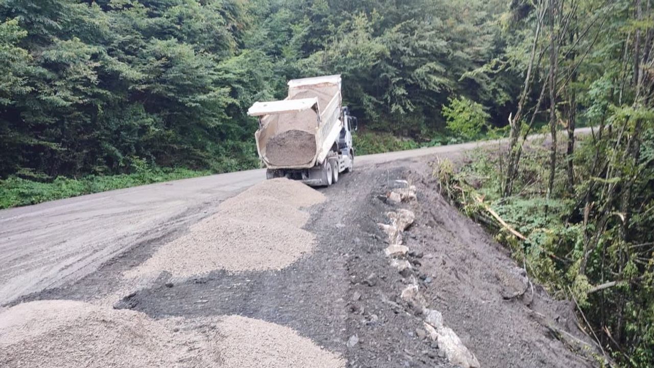 Kaynaşlı'da yamaç güvenliği artırıldı: grup yolunda güçlendirme çalışması
