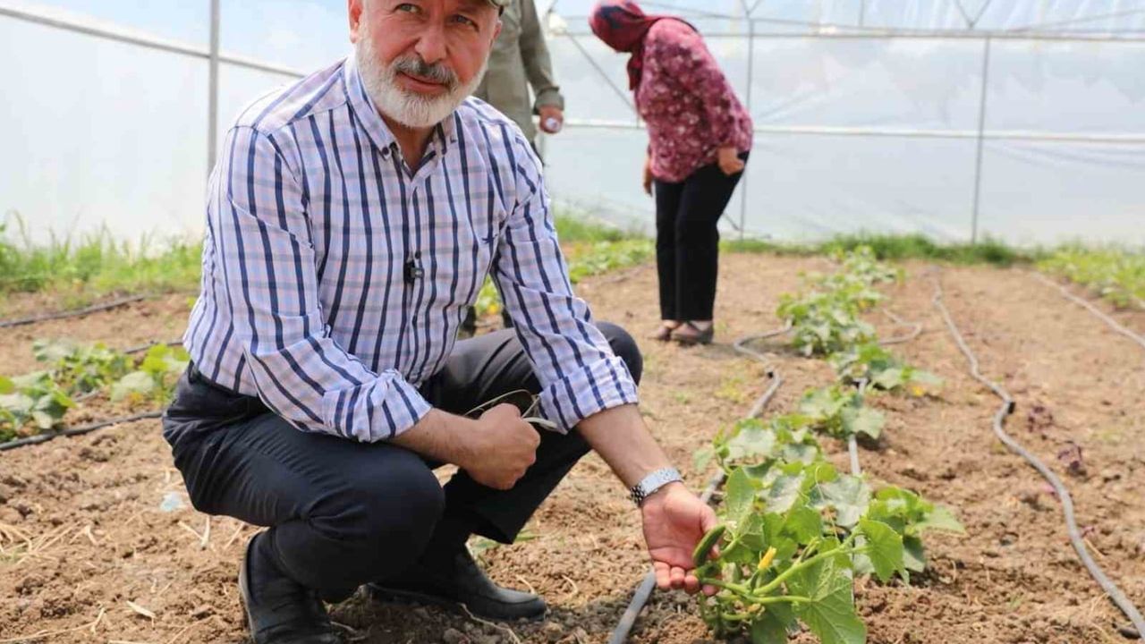 Kayseri'de şehir merkezinde tarımda yeni bir örnek: kadın kooperatifi son hasadını yaptı