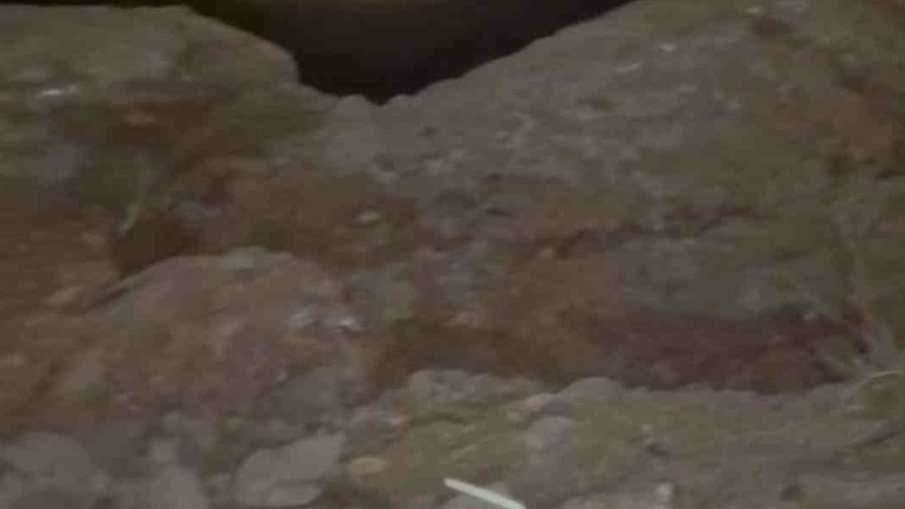 keban baraj gölü'nde gece avı: koruma altındaki su samuru kamerada