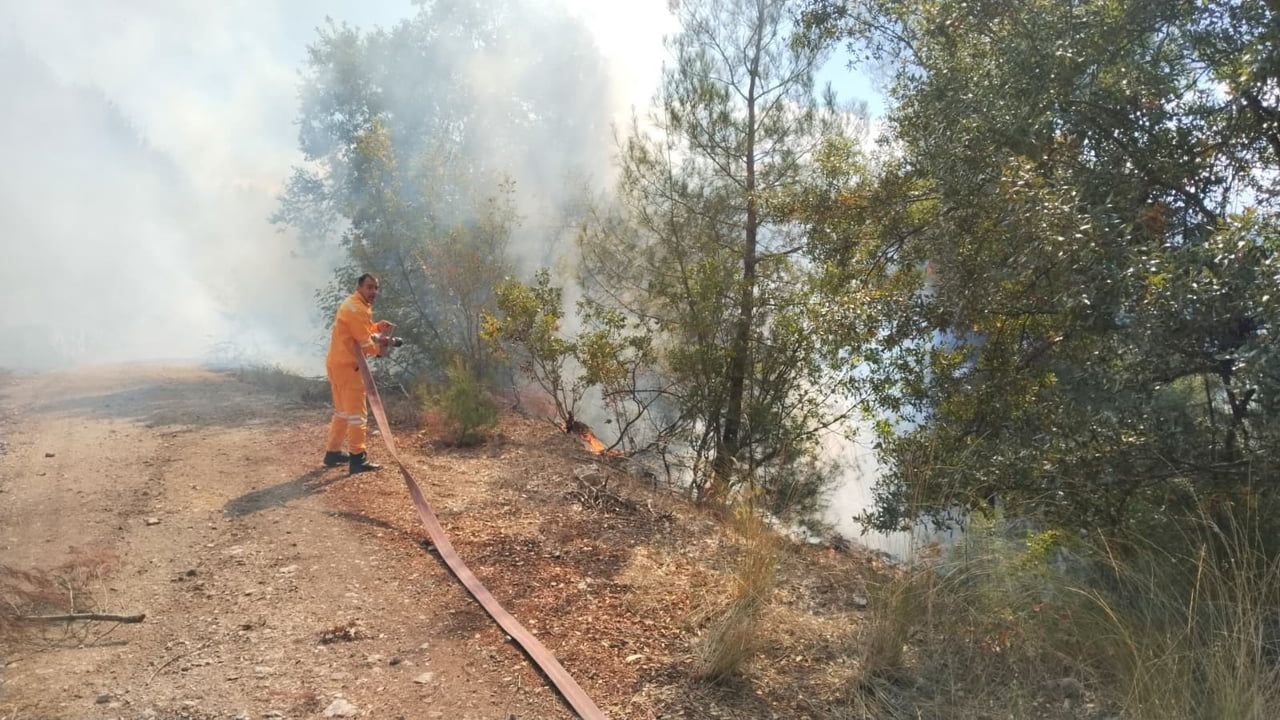 Keles'te ormanlık alanda duman yükseldi, ekipler sevk edildi