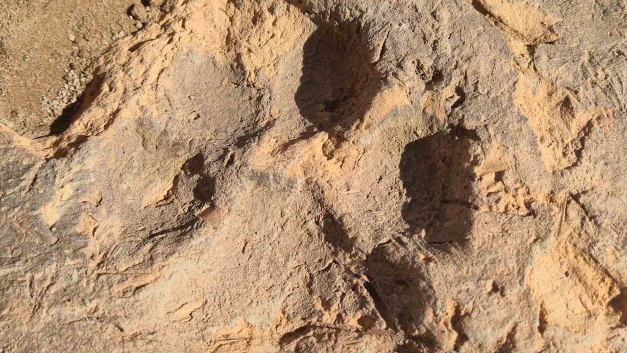 Kerpicin bıraktığı iz: Tavşanlı Höyük'te yaklaşık 4 bin yıllık köpek pati izleri