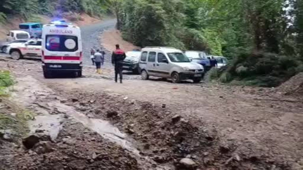 Kestane ararken yalnız kaldığı ormanda 66 yaşındaki adam ölü bulundu