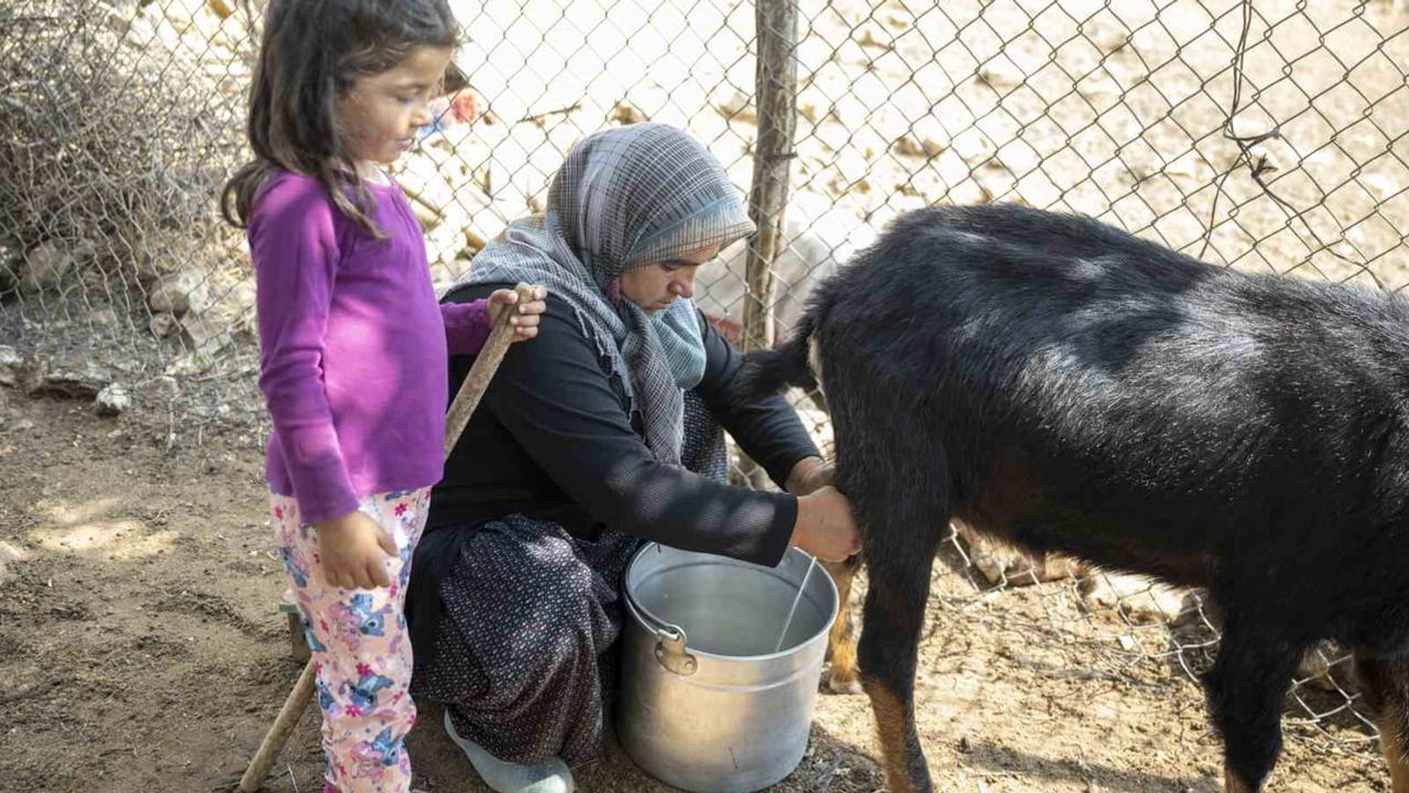 Kırsalda üretimi güçlendiren Mersin Büyükşehir Belediyesi güneş desteği