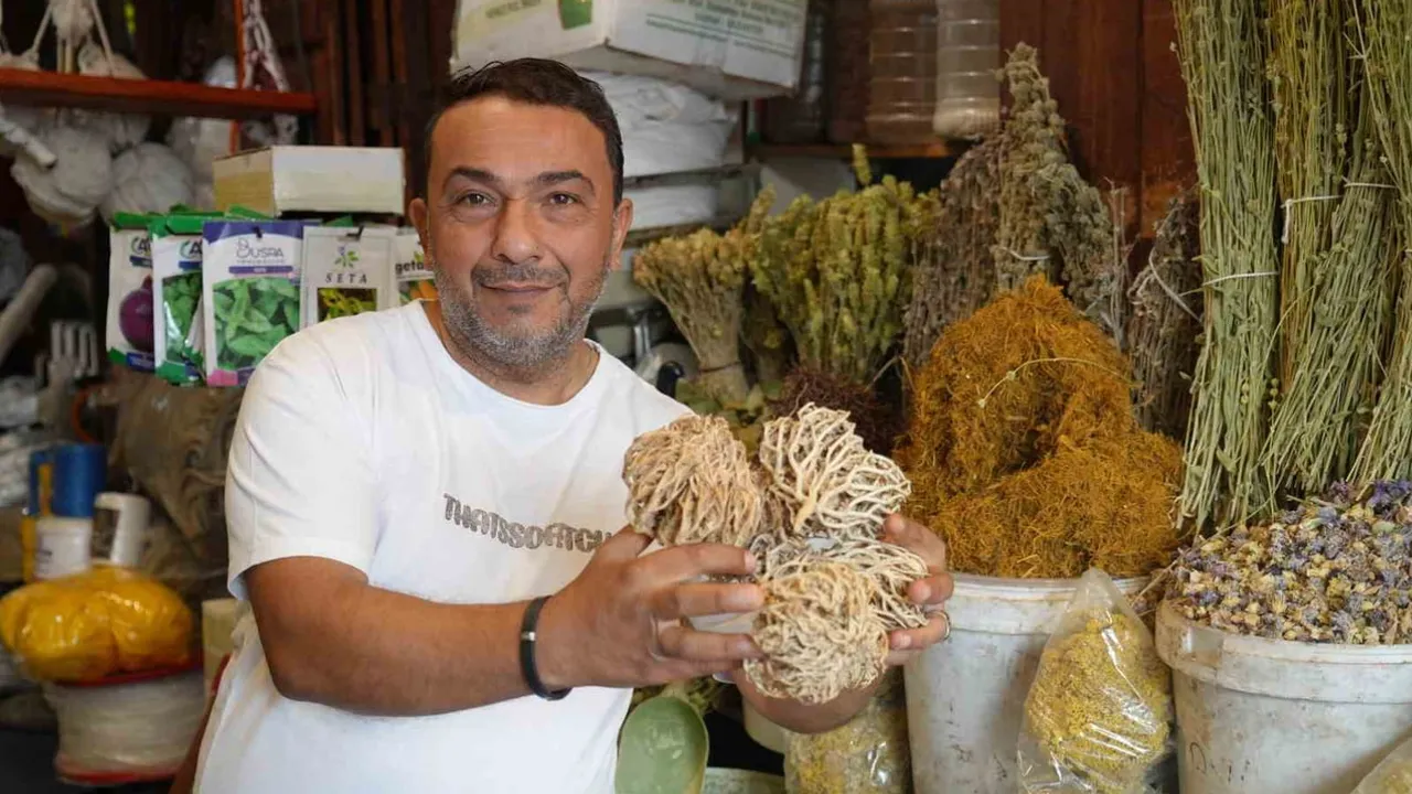 Kış gelince doğal çözüme yöneldiler: Gaziantep aktarlarda yoğunluk yaşıyor