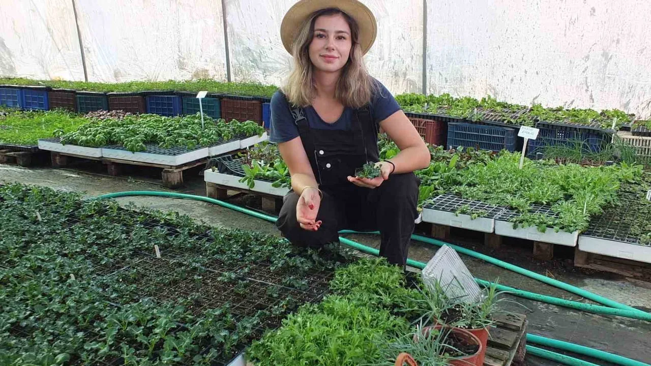 Kızıklı'dan yurdun dört bir yanına fide gönderen kadın girişimci