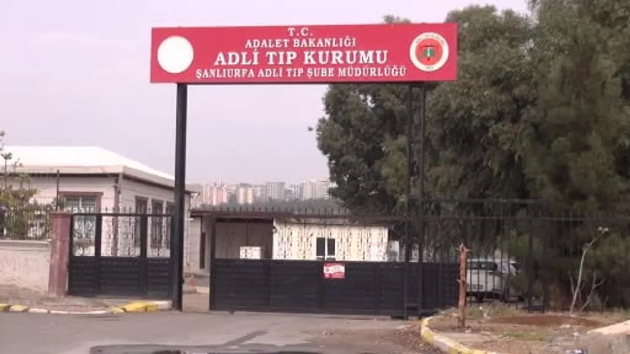 Kızıltepe-Viranşehir yolunda pirinç yüklü tır devrildi, sürücü öldü