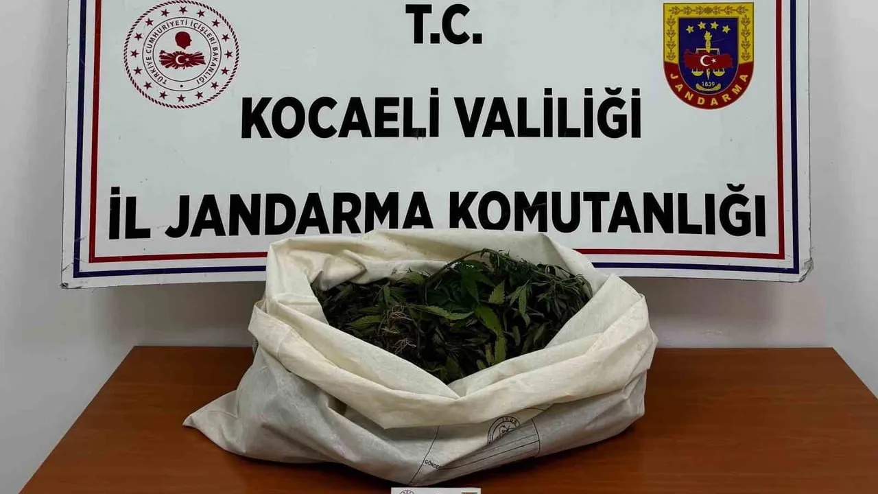 Kocaeli'de eş zamanlı baskınlar: üç kilonun üzerinde esrar ele geçirildi