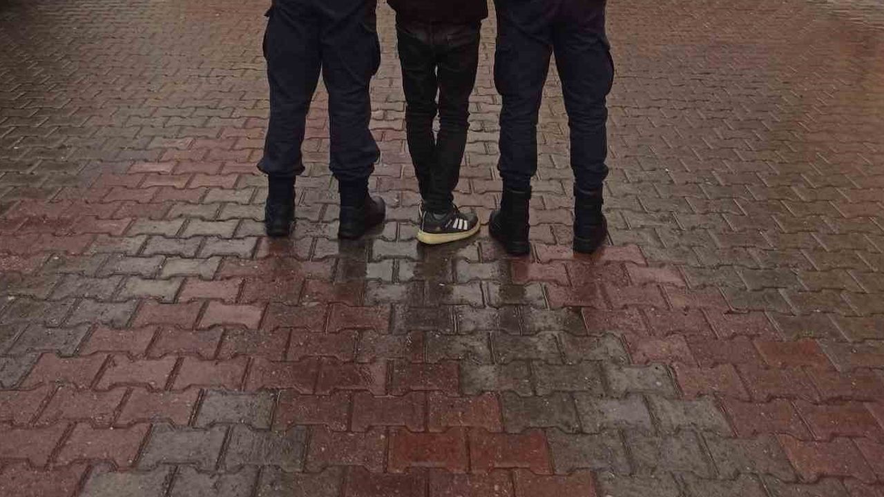 Koçarlı'da jandarma takibiyle çalınan 4 büyükbaş sahibine kavuştu