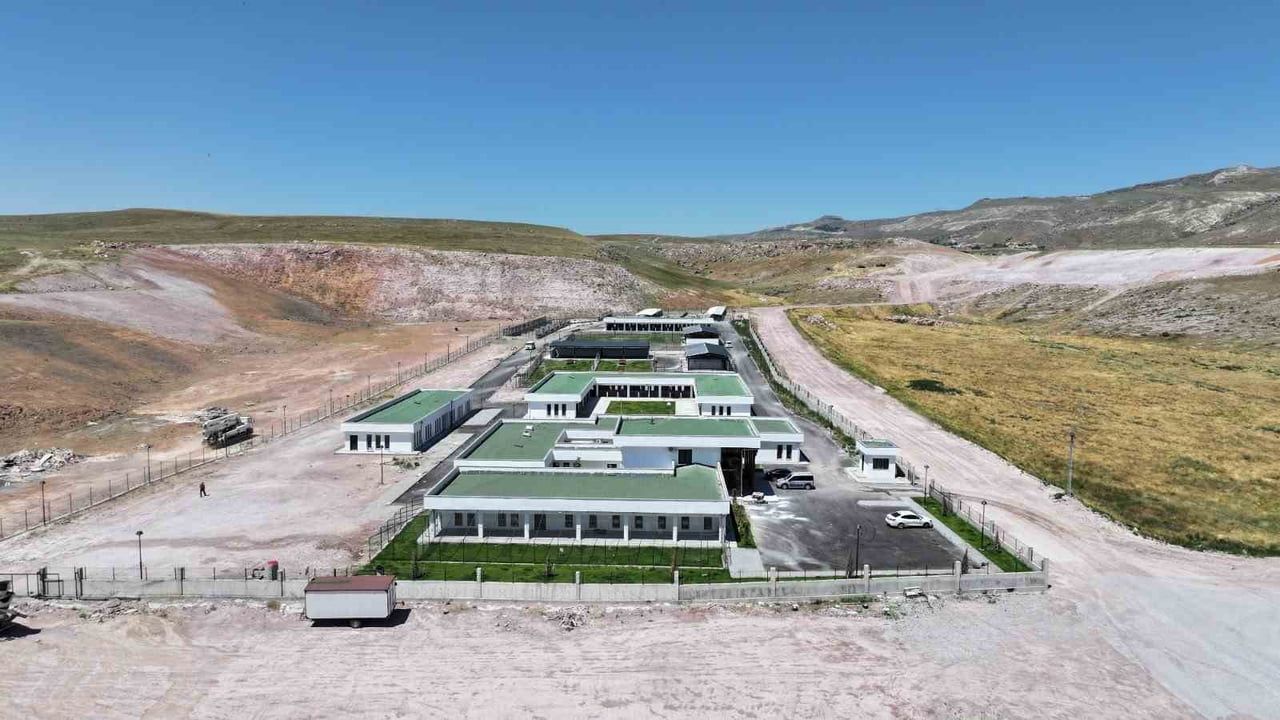 Kocasinan'dan sokak hayvanlarına bütüncül hizmet modeli: Türkiye'ye örnek uygulamalar