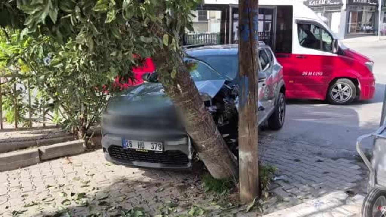 Köprü dönüşünde kontrolden çıkan otomobil dolmuşa çarpıp ağaca saplandı