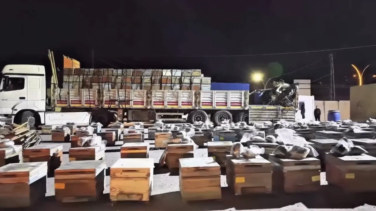 Kovanların arasından çıkan uyuşturucu: canlı arılar eşliğinde 91,1 kilo ele geçirildi