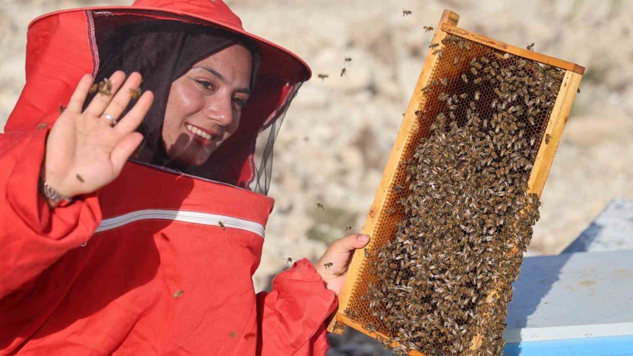 Kovanlarıyla 81 ili dolaşan genç kadın kendi işini kurdu